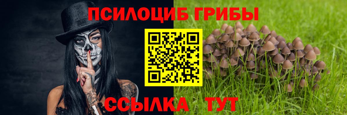 Галлюциногенные грибы прущие грибы  Вход с VPN  Тихвин 